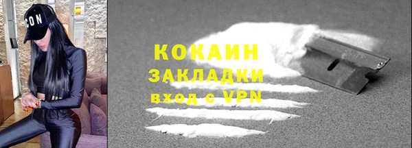 ПСИЛОЦИБИНОВЫЕ ГРИБЫ Осинники
