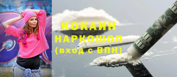 ПСИЛОЦИБИНОВЫЕ ГРИБЫ Осинники