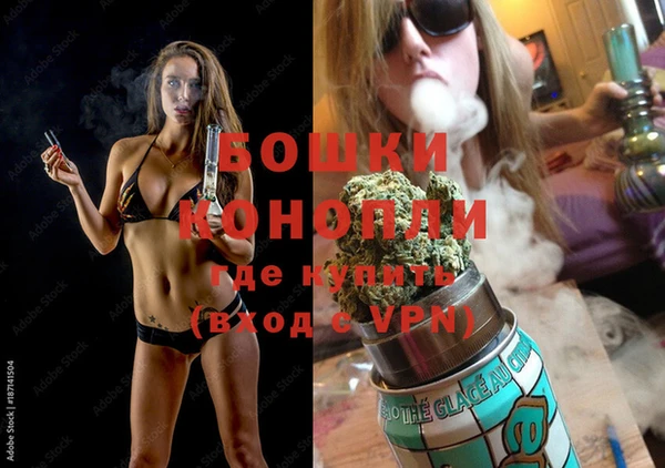 ПСИЛОЦИБИНОВЫЕ ГРИБЫ Осинники