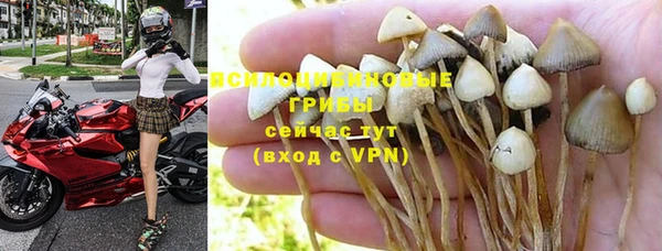 сатива Остров