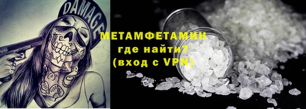 ПСИЛОЦИБИНОВЫЕ ГРИБЫ Осинники