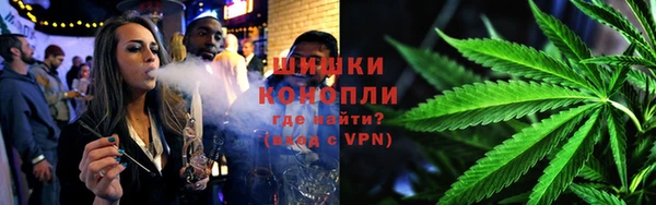 ПСИЛОЦИБИНОВЫЕ ГРИБЫ Осинники
