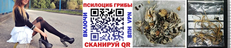 Галлюциногенные грибы Magic Shrooms  где купить наркоту  Владикавказ 