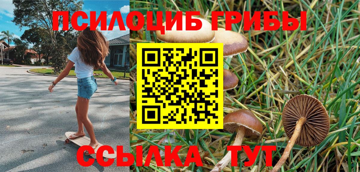 Галлюциногенные грибы MAGIC MUSHROOMS  Псилоцибиновые грибы MAGIC MUSHROOMS  Владикавказ 