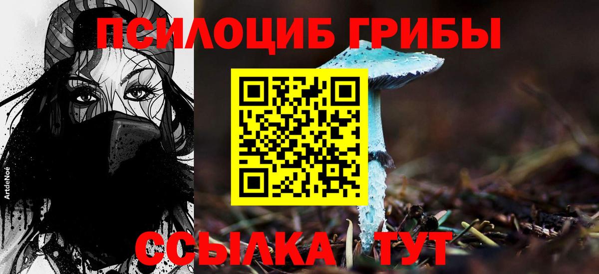 Владикавказ  Псилоцибиновые грибы ЛСД  Вход с VPN 